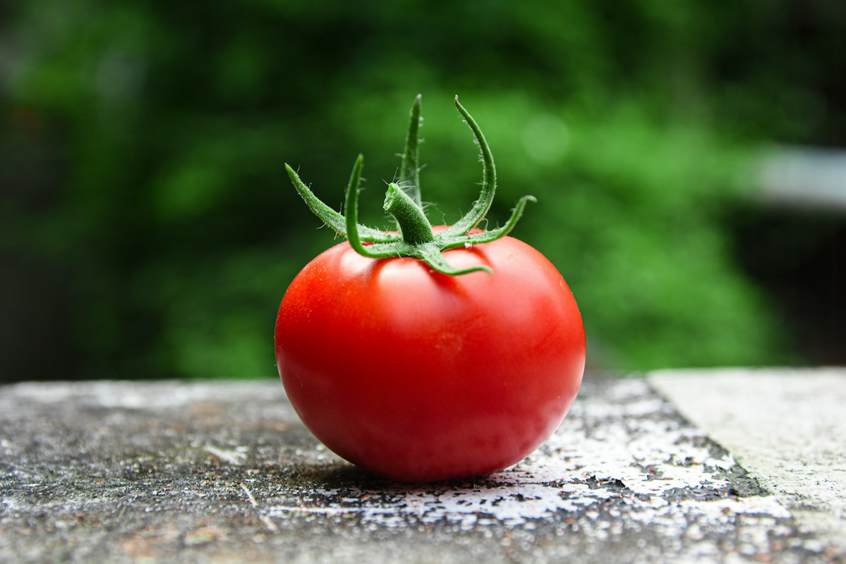Blaubeeren - antioxidatives Superfood